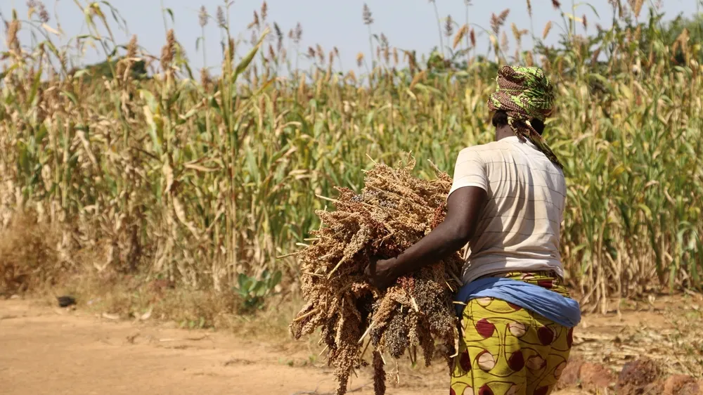 Farm Workers in Burkina Faso