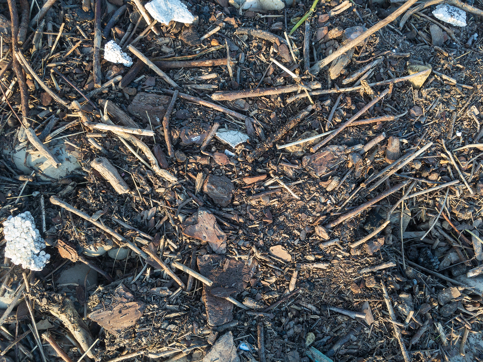 Mogden Treatment Works: The 2 Billion Litre Raw Sewage Discharge Incident